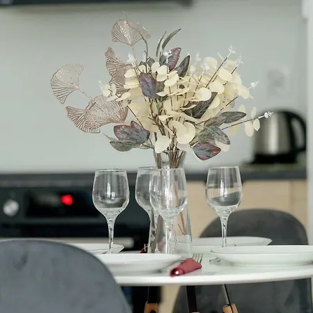 Jasny Blisko Lotniska Lawica W Poznaniu By Renters *